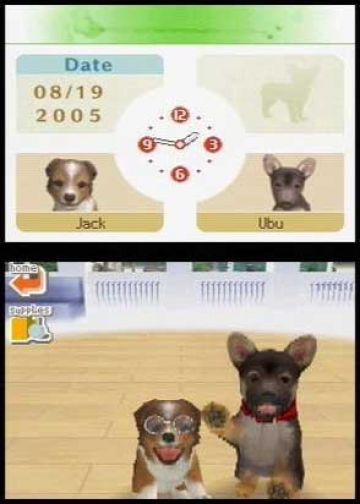 Immagine -16 del gioco Nintendogs: Labrador and Friends per Nintendo DS